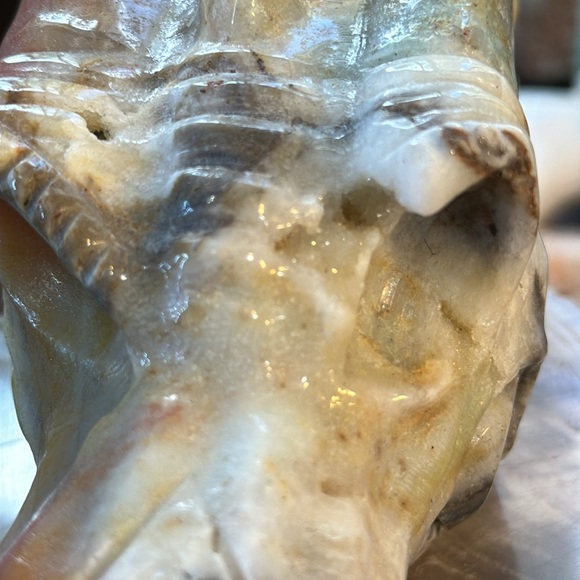 Caribbean Calcite Crystal Dragons Head Carving! - Picture 6 of 11